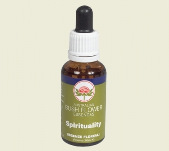Spirituality 30ml